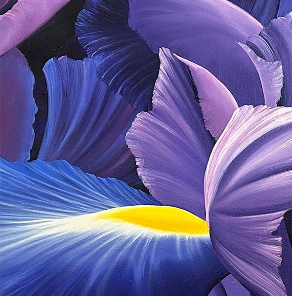 Iris Magic 1