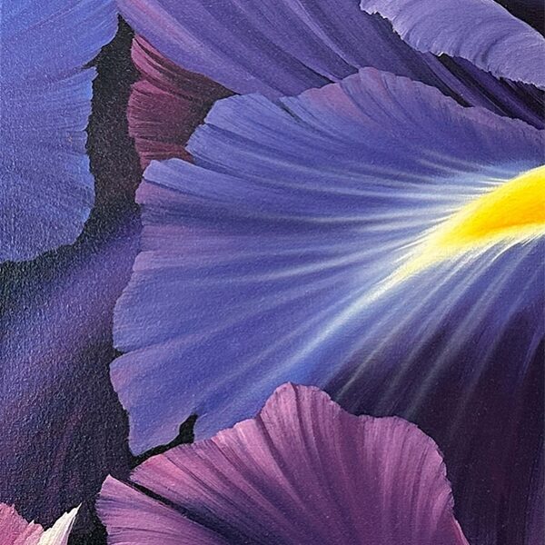 Iris Magic 3